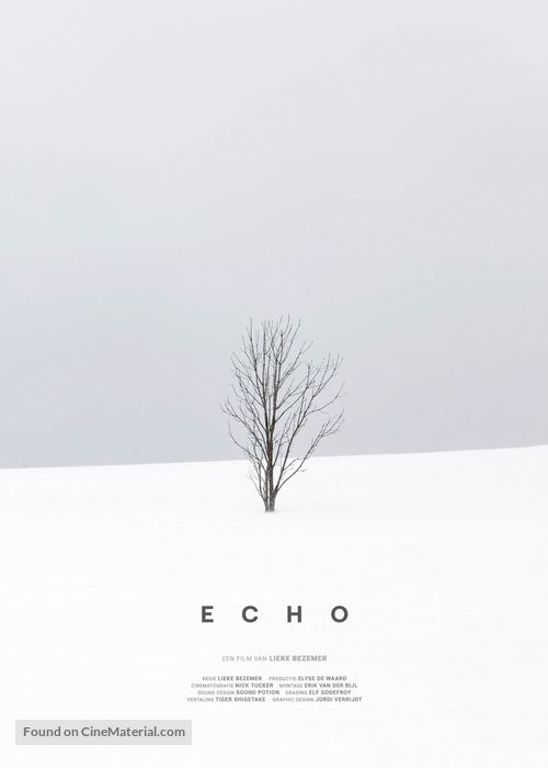 Echo - Dutch Movie Poster