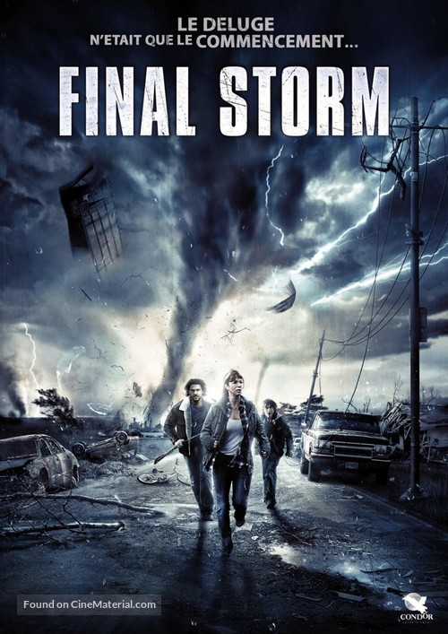 The Final Storm - French Movie Cover