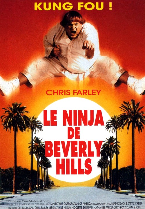 Beverly Hills Ninja - French Movie Poster