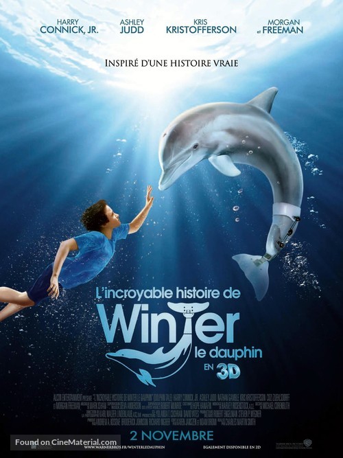 Dolphin Tale - French Movie Poster