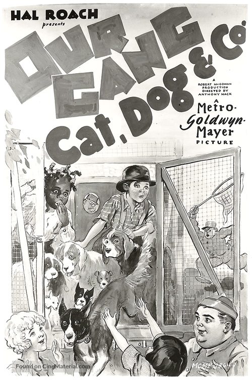 Cat, Dog &amp; Co. - Movie Poster