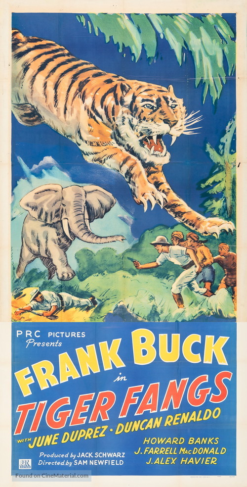 Tiger Fangs - Movie Poster