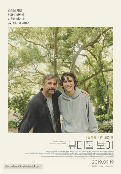 Beautiful Boy - South Korean Movie Poster