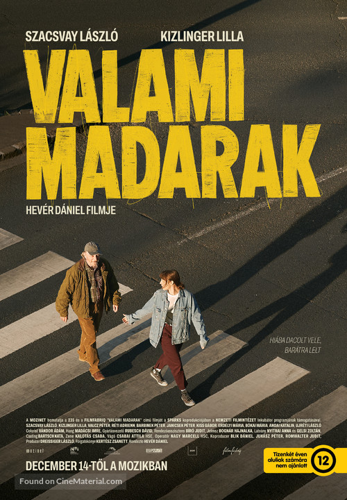 Valami madarak - Hungarian Movie Poster