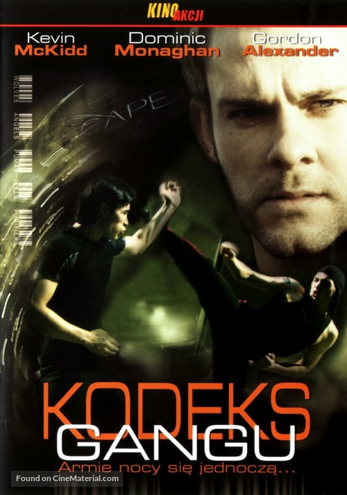 The Purifiers - Polish DVD movie cover
