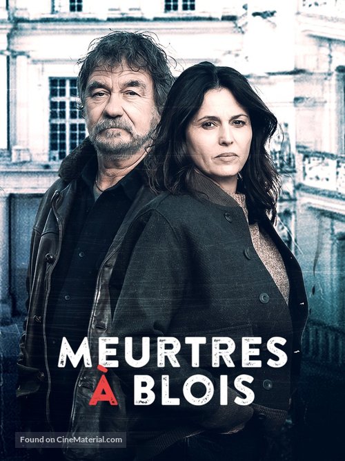 Meurtres &agrave; Blois - French poster