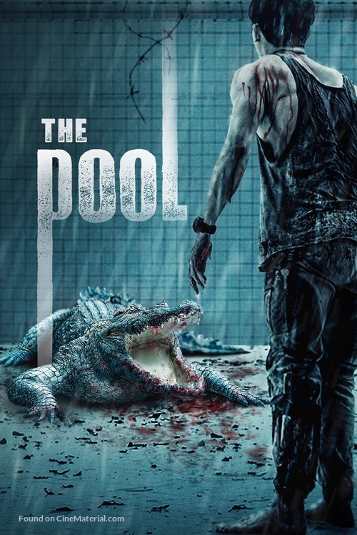 The Pool - Movie Cover