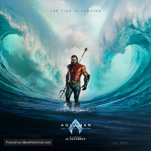 Aquaman and the Lost Kingdom - Irish Movie Poster