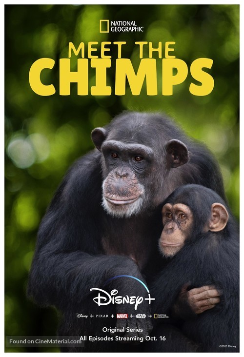 &quot;Meet the Chimps&quot; - Movie Poster