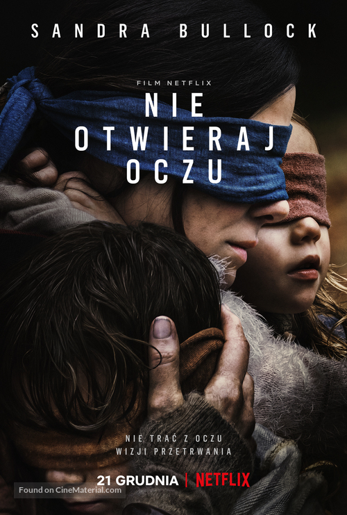 Bird Box - Polish Movie Poster