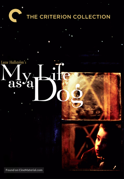 Mitt liv som hund - DVD movie cover