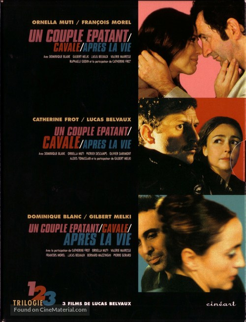 Un couple &eacute;patant - French DVD movie cover