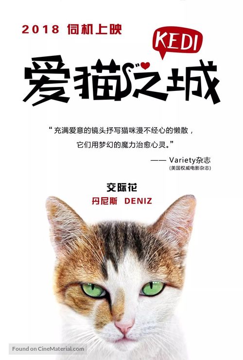 Kedi - Chinese Movie Poster