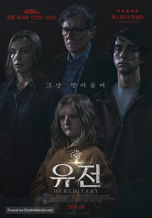 Hereditary - South Korean Movie Poster