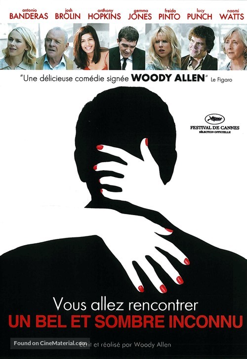 You Will Meet a Tall Dark Stranger - French DVD movie cover