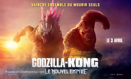 Godzilla x Kong: The New Empire - French Movie Poster