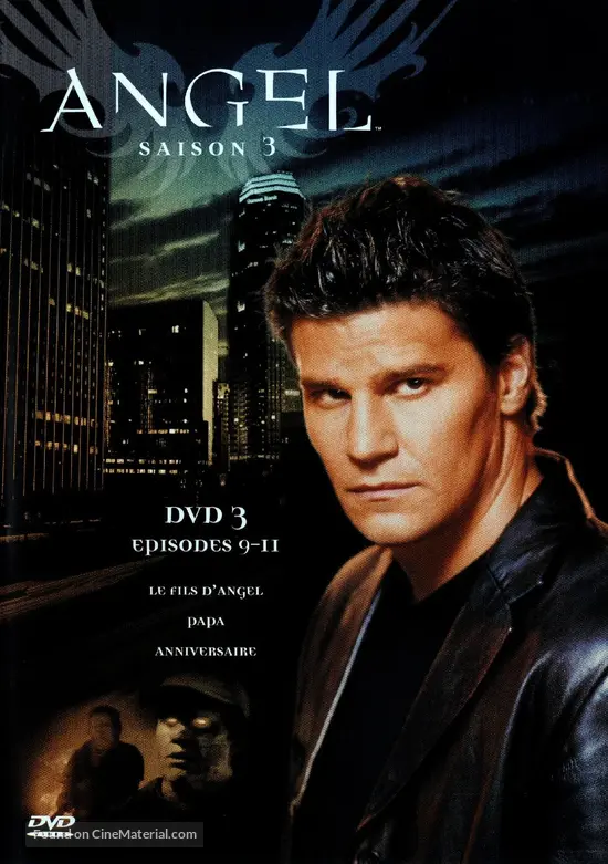 &quot;Angel&quot; - French DVD movie cover