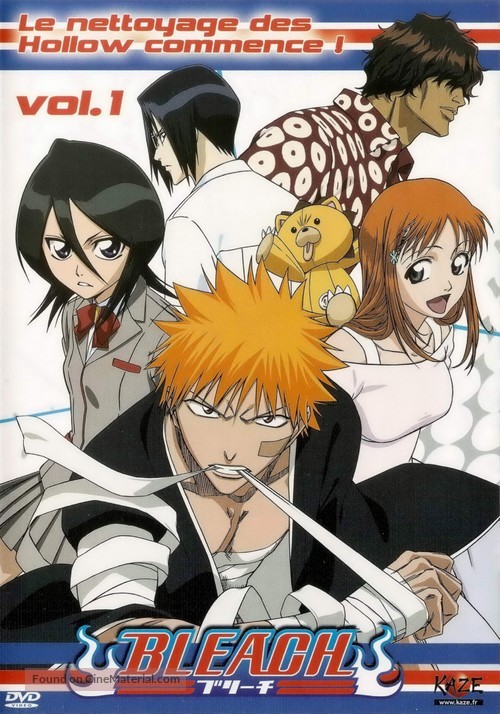 &quot;Bleach&quot; - French DVD movie cover