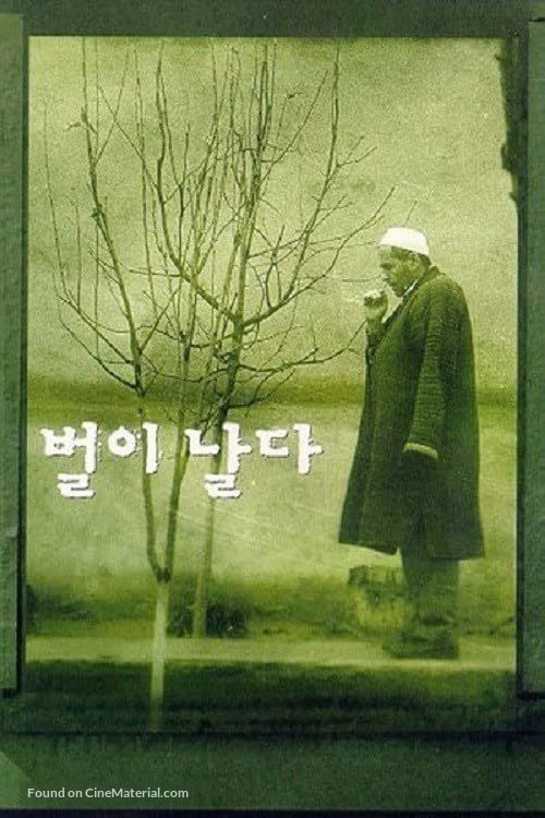 Parvaz-e zanbur - South Korean Movie Poster