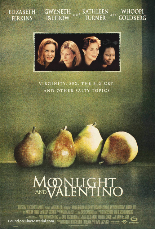 Moonlight and Valentino - Movie Poster