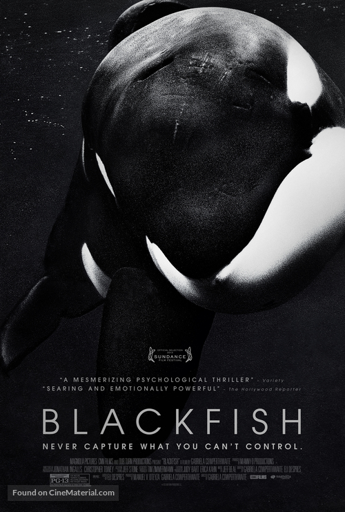Blackfish - Movie Poster