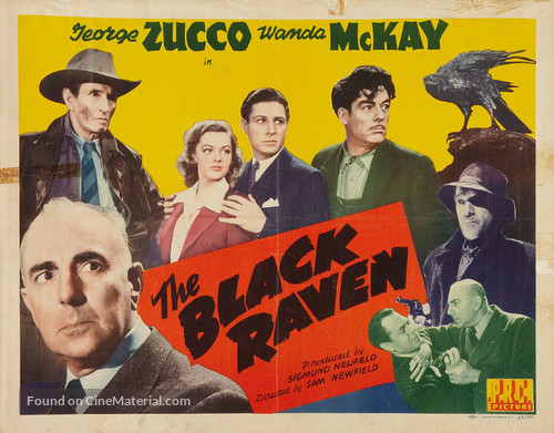 The Black Raven - Movie Poster