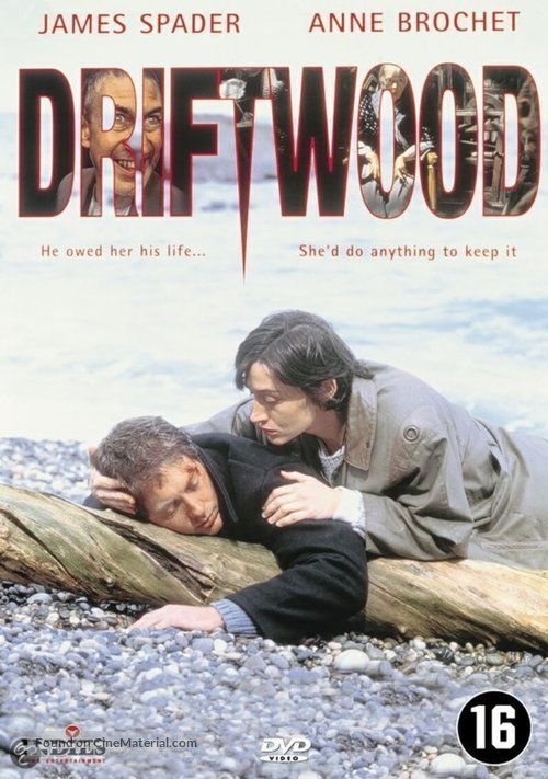 Driftwood - Dutch Movie Cover