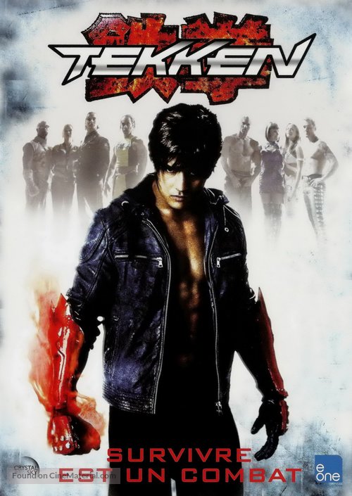 Tekken - French DVD movie cover