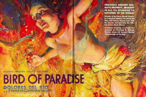 Bird of Paradise - poster