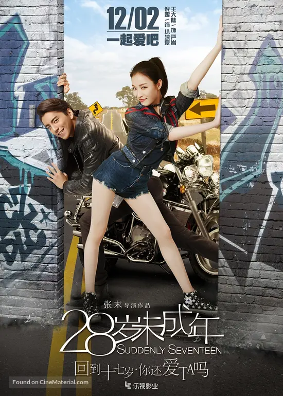 Suddenly Seventeen 2016 Chinese Movie Poster Suddenly Seventeen 2016 Chinese Movie Poster