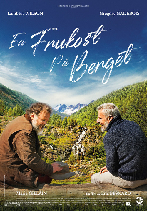 Les Choses Simples - Swedish Movie Poster