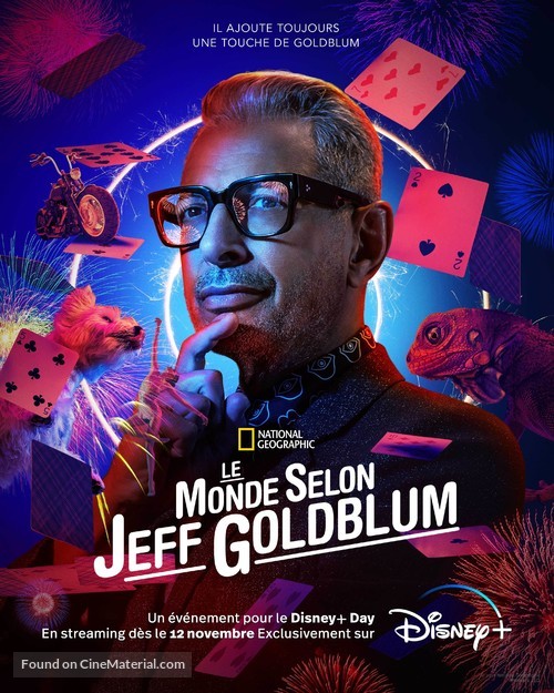 &quot;The World According to Jeff Goldblum&quot; - French Movie Poster