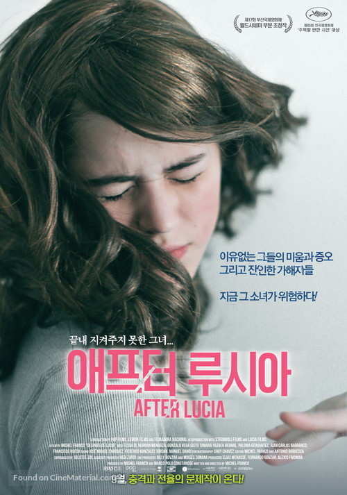 Despu&eacute;s de Luc&iacute;a - South Korean Movie Poster