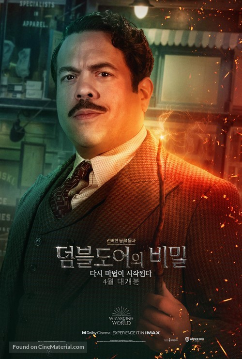 Fantastic Beasts: The Secrets of Dumbledore - South Korean Movie Poster