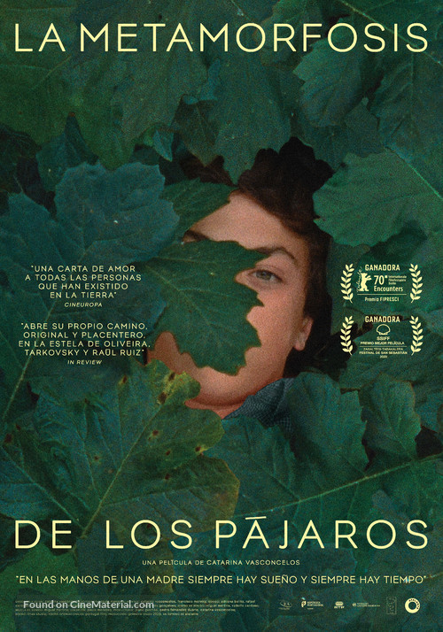 A Metamorfose dos P&aacute;ssaros - Spanish Movie Poster