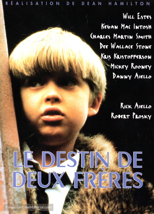 Brothers&#039; Destiny - French Movie Cover
