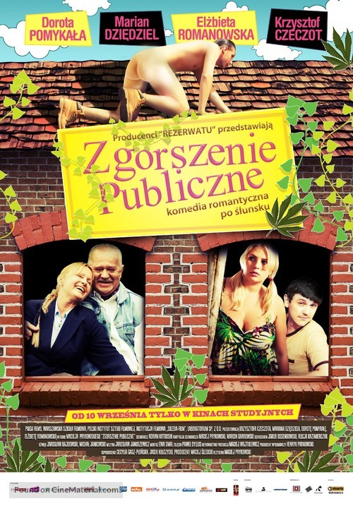 Zgorszenie publiczne - Polish Movie Poster
