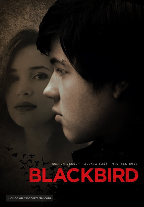 Blackbird - DVD movie cover