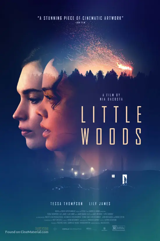 Little Woods - Movie Poster