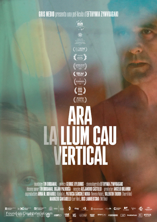 Ara la llum cau vertical - Andorran Movie Poster