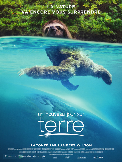 Earth: One Amazing Day - French Movie Poster