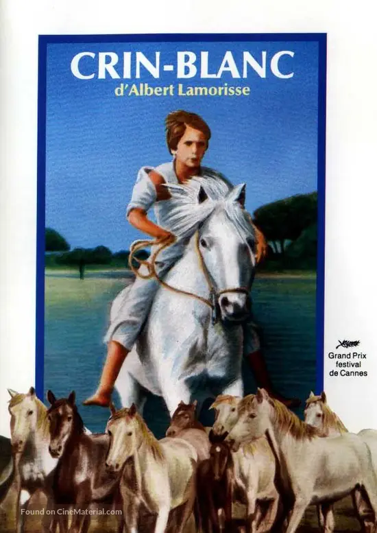 Crin Blanc Le Cheval Sauvage 1953 French Movie Poster Crin Blanc Le Cheval Sauvage 1953 French Movie Poster