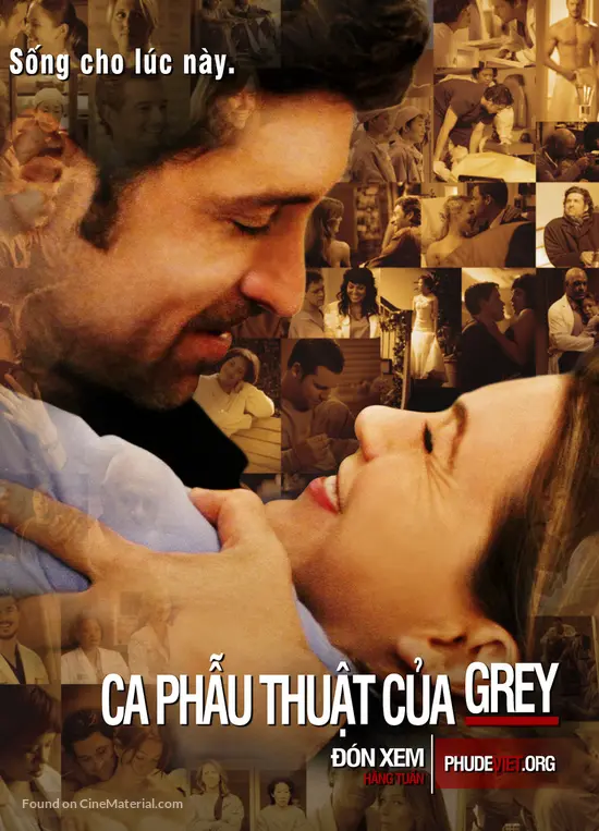 &quot;Grey&#039;s Anatomy&quot; - Vietnamese Movie Poster