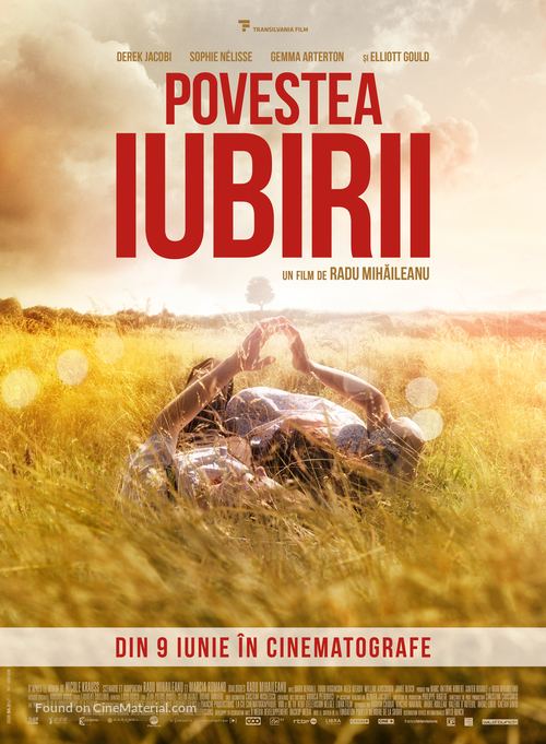 The History of Love - Romanian Movie Poster