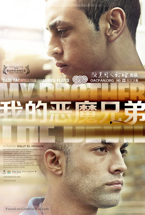 My Brother the Devil - Chinese Movie Poster