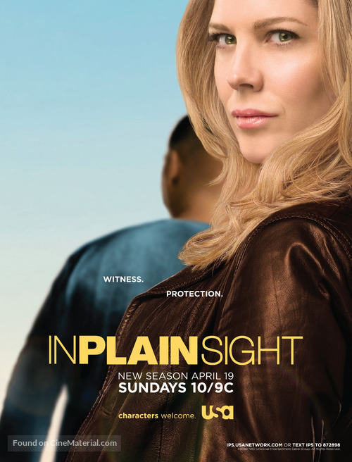 &quot;In Plain Sight&quot; - Movie Poster