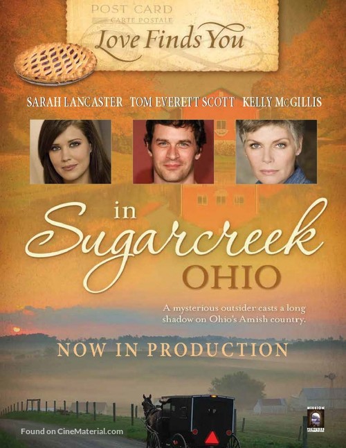 Love Finds You in Sugarcreek - Movie Poster