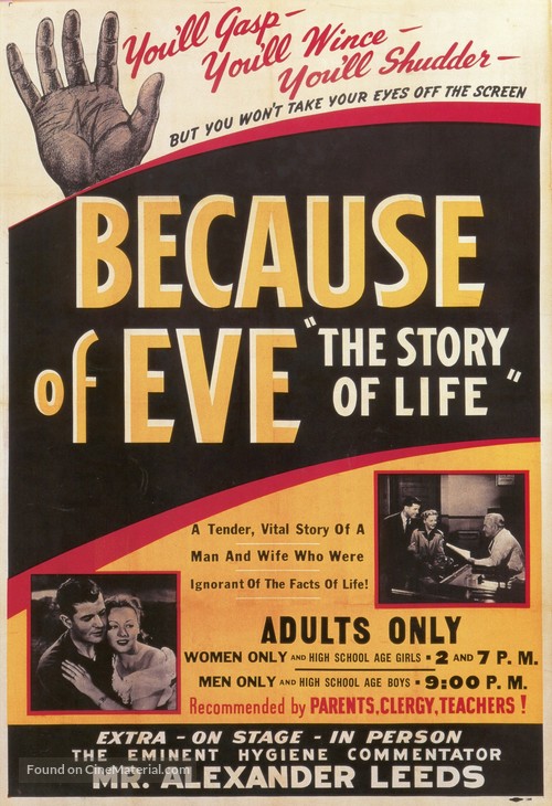 Because of Eve - Movie Poster