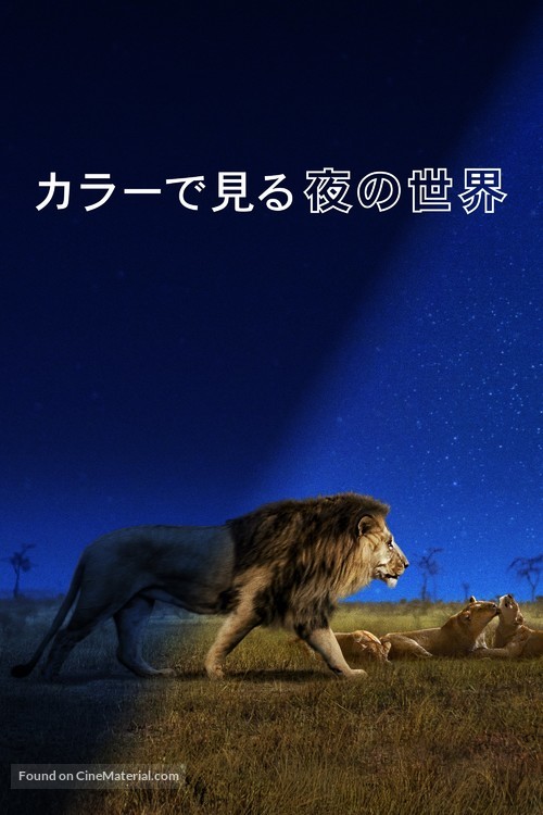 &quot;Earth at Night in Color&quot; - Japanese Movie Cover