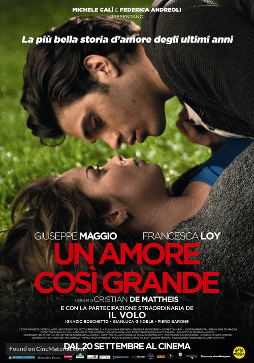 Un amore cos&igrave; grande - Italian Movie Poster